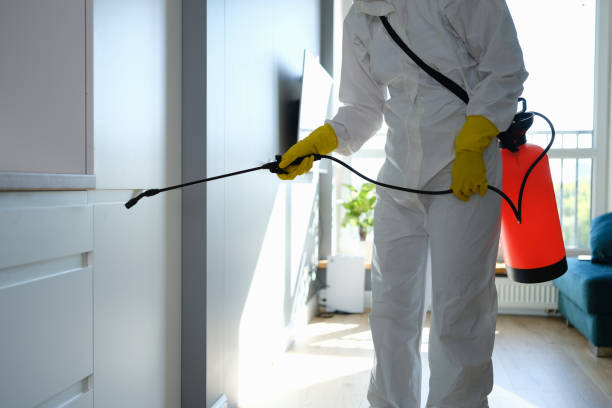 Best Residential Mold Removal  in Harahan, LA