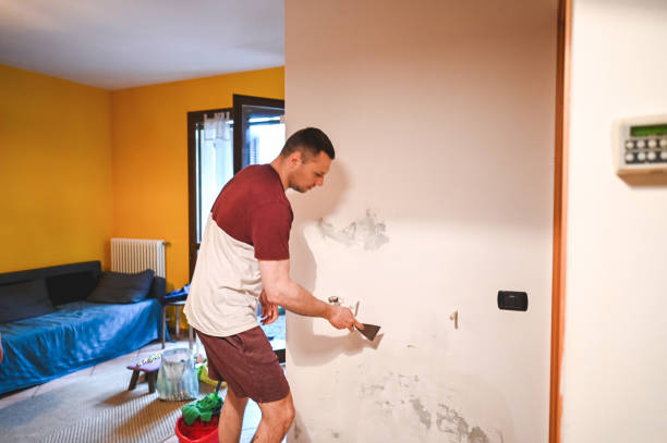 Best Office Mold Removal Services  in Harahan, LA